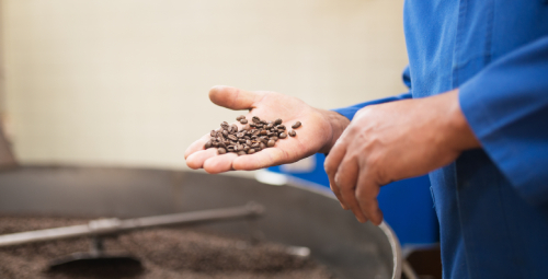man-holding-roasted-coffee-beans